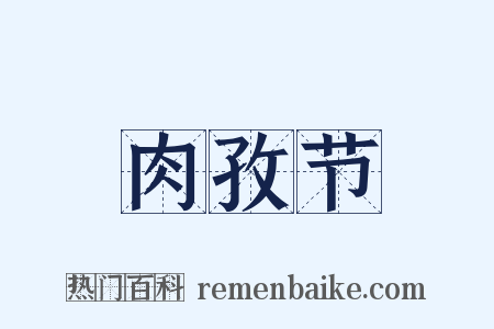 肉孜节是什么意思的图片